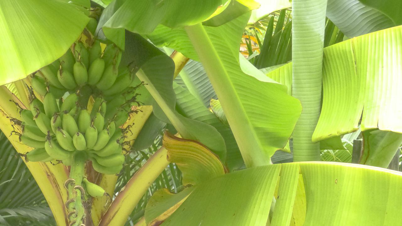 Mouggae Blues Villas Beau Vallon  Eksteriør bilde